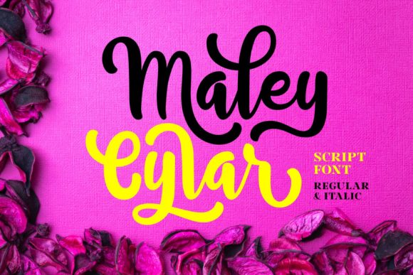 Maley Cylar: A Designer’s Practical Review