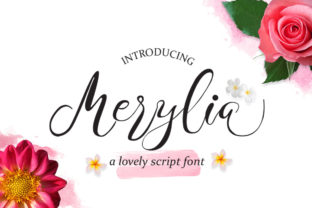 Merylia Font: A Designer’s Guide to Organic Script