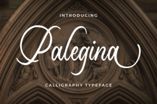 Palegina: A Timeless Script Typeface for Editorial Design